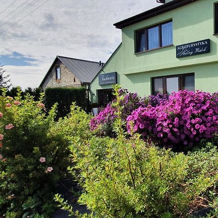 Skalny Widok Villa Hucisko  Kültér fotó