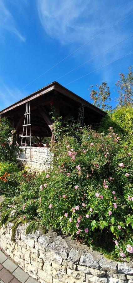Skalny Widok Villa Hucisko  Kültér fotó