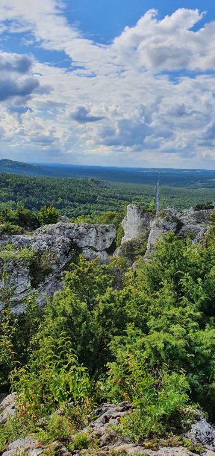 Skalny Widok Villa Hucisko  Kültér fotó
