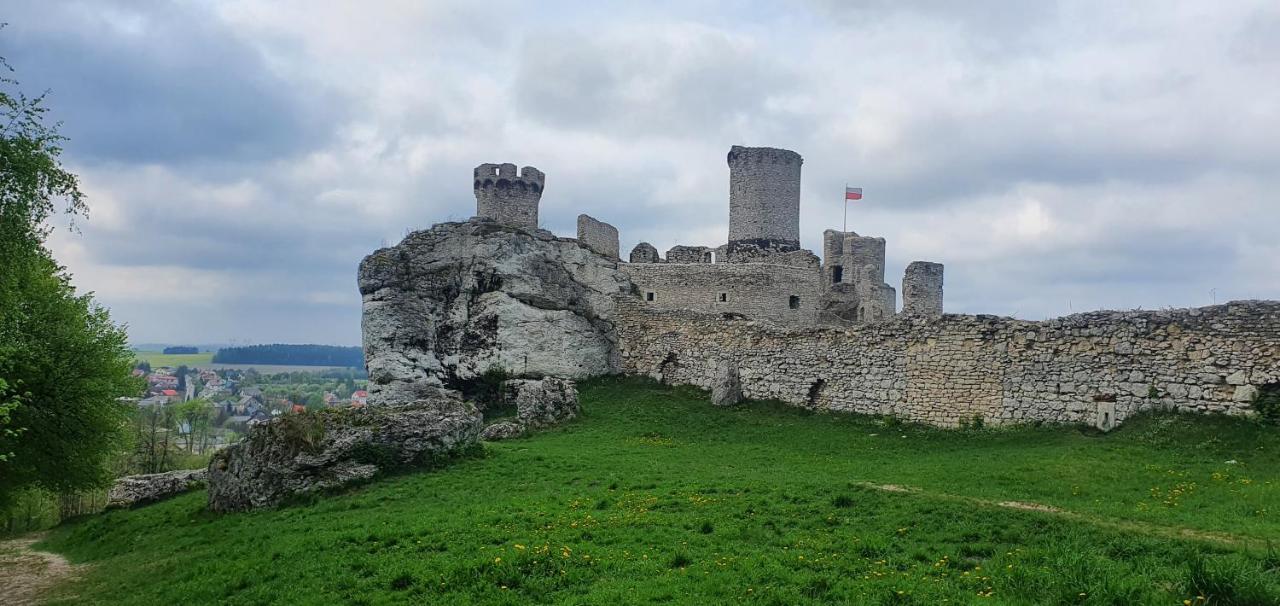 Skalny Widok Villa Hucisko  Kültér fotó