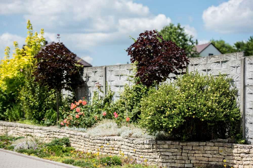 Skalny Widok Villa Hucisko  Kültér fotó
